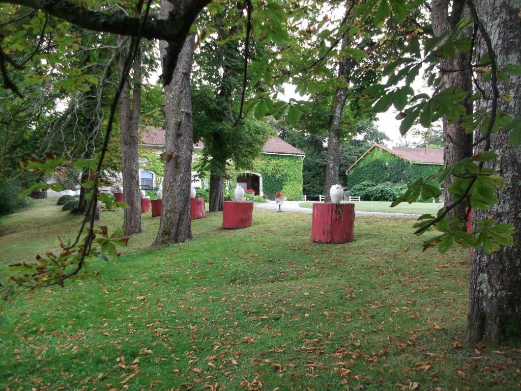 Chateau-Hotel De Nieuil Exterior foto